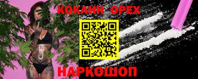 прущие грибы Шахты