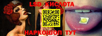 прущие грибы Шахты