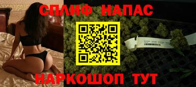 прущие грибы Шахты