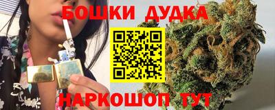 прущие грибы Шахты