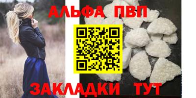 прущие грибы Шахты