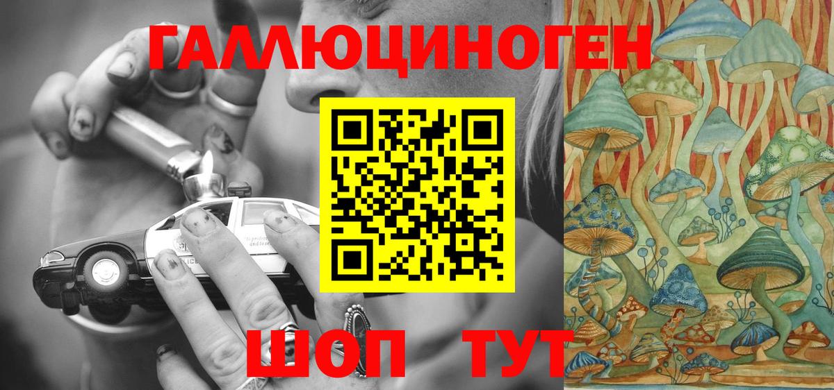 Псилоцибиновые грибы Cubensis Владивосток